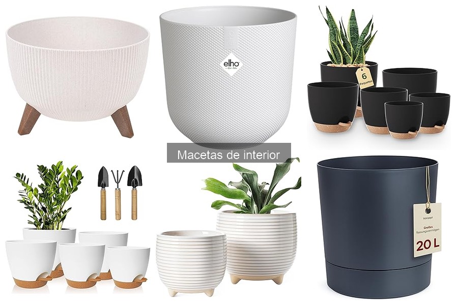 Cómo elegir la maceta ideal según tu espacio interior