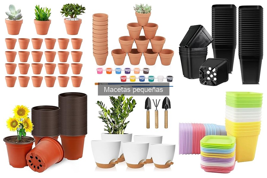 Cómo elegir la maceta pequeña ideal para cultivar hierbas