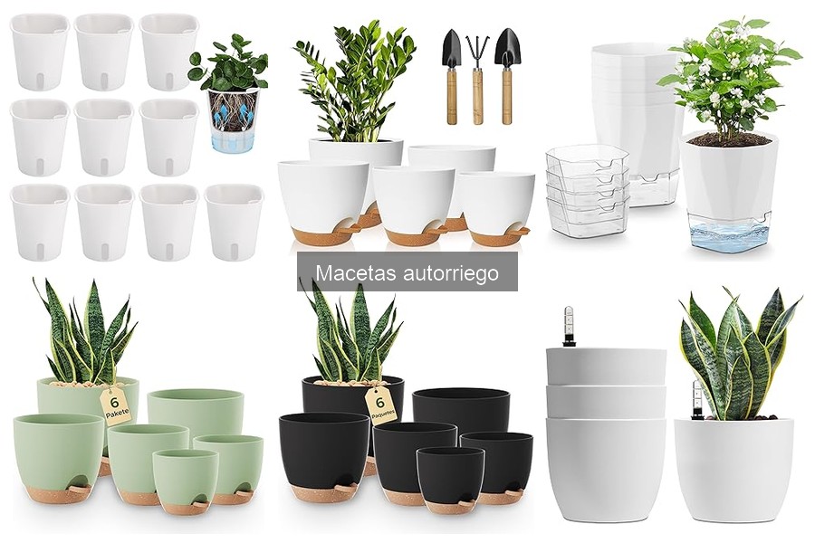 Cómo elegir la mejor maceta autorriego para tus plantas