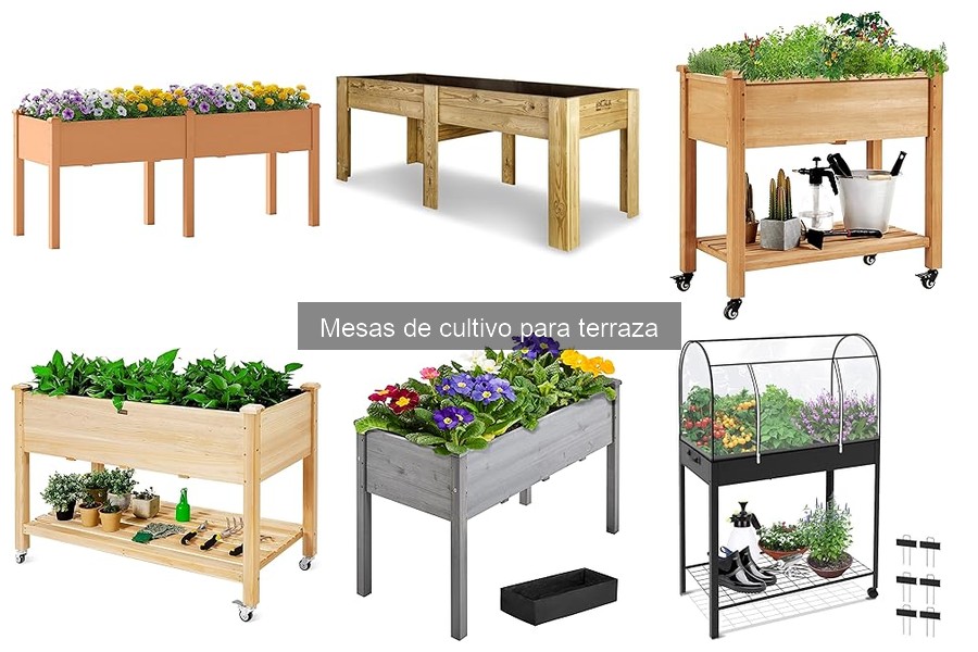 Cómo Elegir la Mejor Mesa de Cultivo para tu Terraza