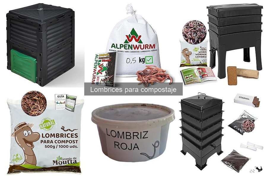 Cómo evitar olores en el vermicompostaje: Soluciones efectivas