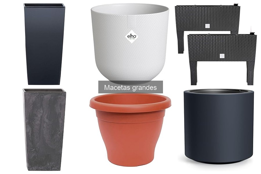 Cómo evitar que las macetas grandes se rompan o deterioren