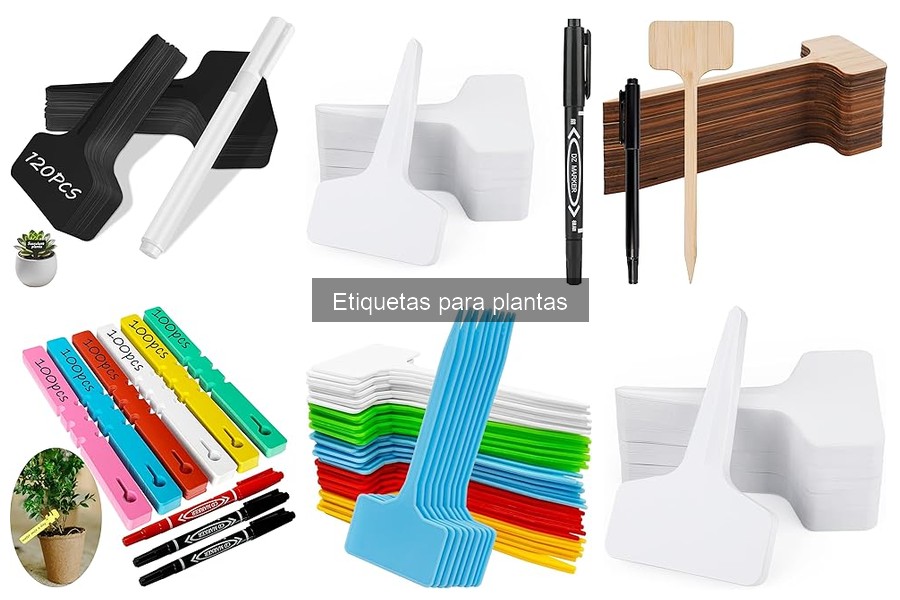 Cómo Hacer Etiquetas para Plantas DIY en Casa