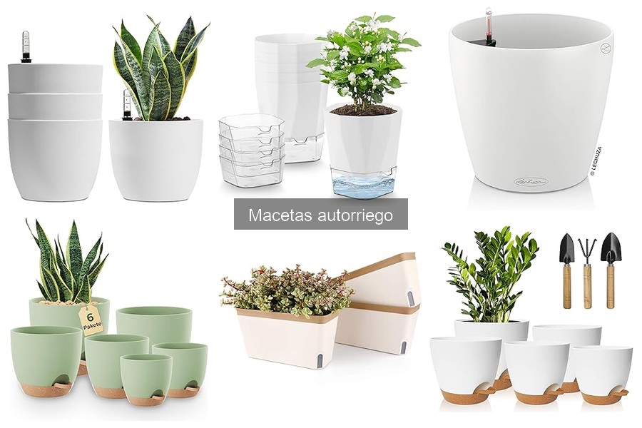 Cómo hacer macetas autorriego caseras de forma sencilla