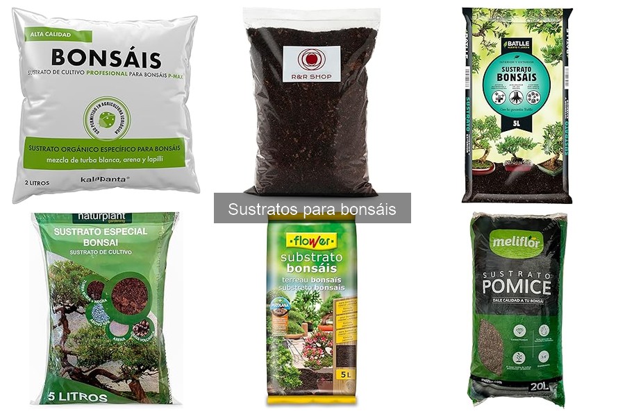Cómo Hacer tu Propio Sustrato para Bonsáis en Casa