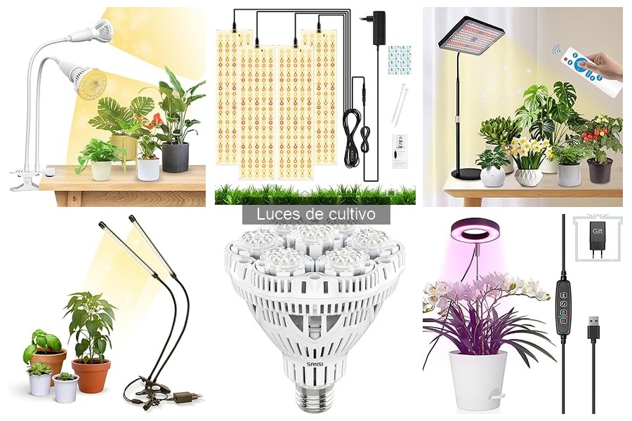 Cómo influyen las luces de cultivo en el crecimiento de plantas