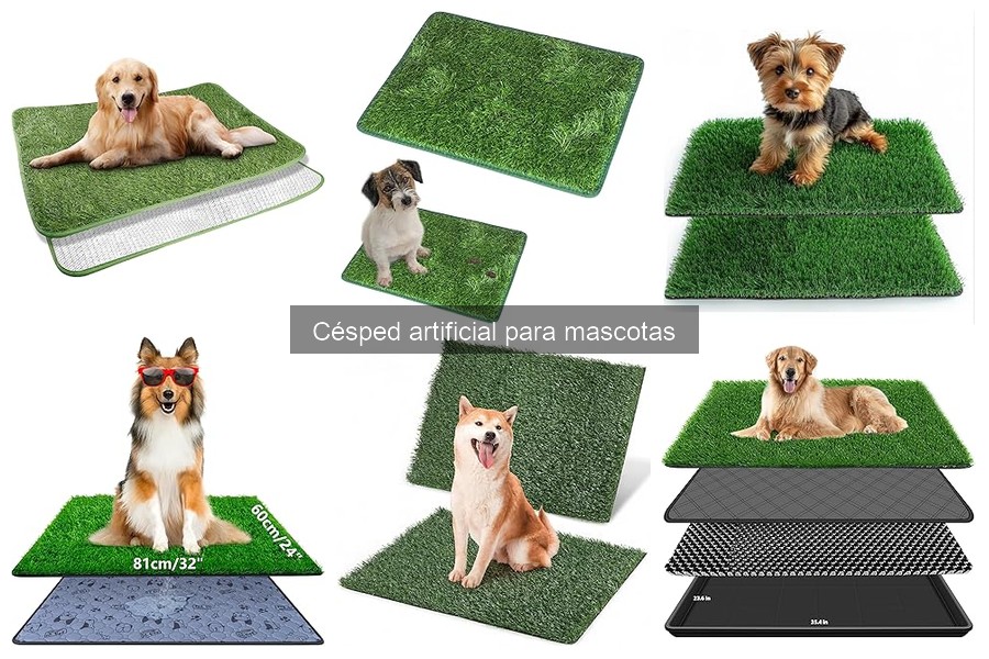 Cómo instalar césped artificial para mascotas: guía fácil