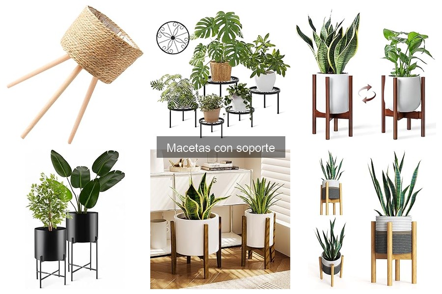 Cómo instalar macetas con soporte: guía práctica