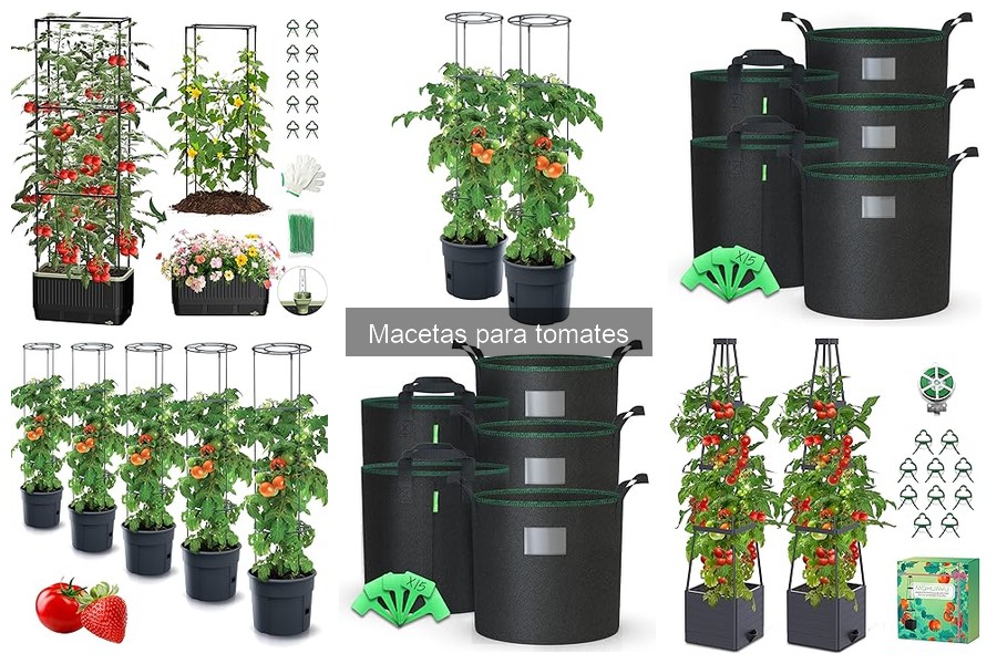 Cómo instalar macetas para tomates correctamente