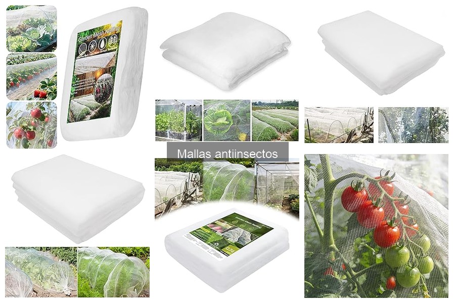 ** Cómo Instalar Mallas Antiinsectos de Forma Efectiva