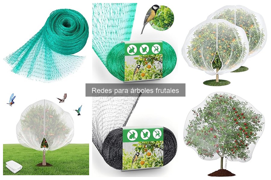 Cómo instalar redes en árboles frutales: Guía práctica