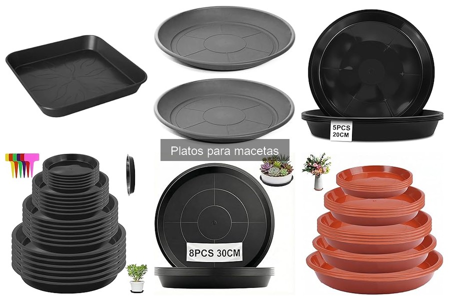 Cómo Instalar un Plato para Macetas: Guía Práctica