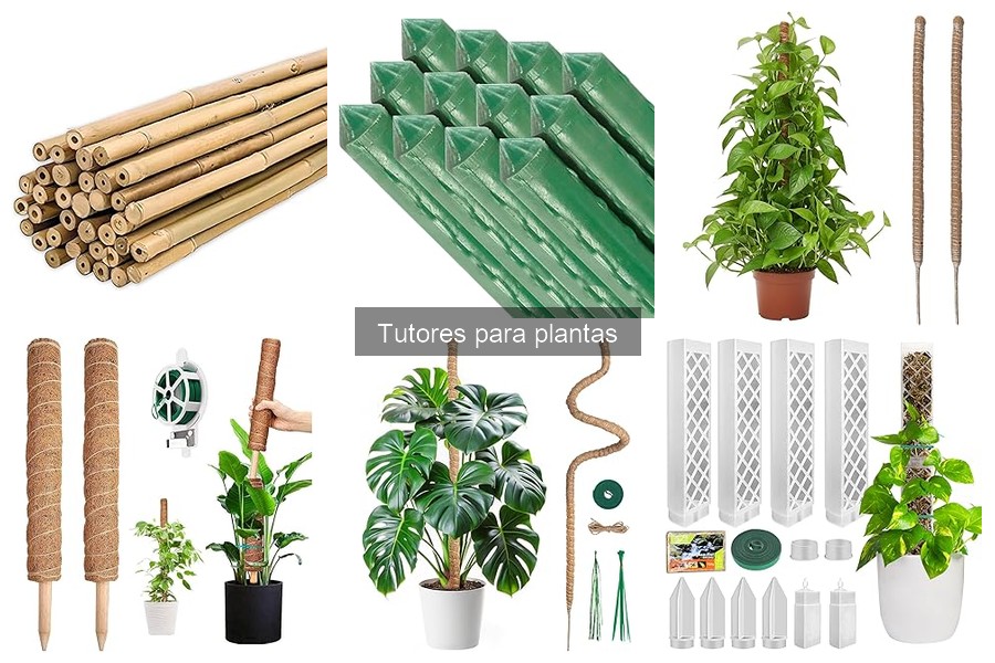Cómo instalar un tutor para plantas: guía práctica