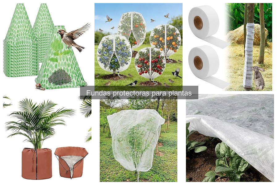 Cómo instalar una funda protectora en plantas fácilmente