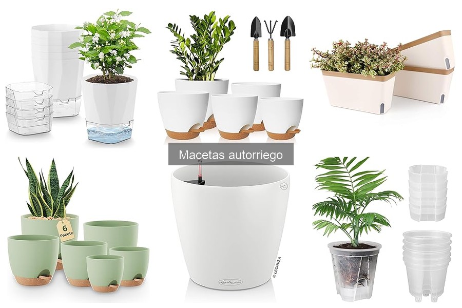 Cómo instalar una maceta autorriego fácilmente