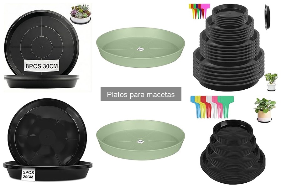 ** Cómo limpiar y mantener platos para macetas de forma efectiva