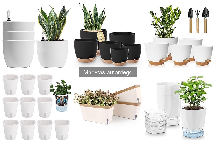 Cómo Mantener Macetas Autorriego en Buen Estado