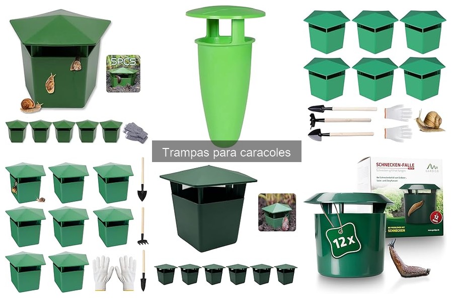 Cómo mantener trampas para caracoles en buen estado