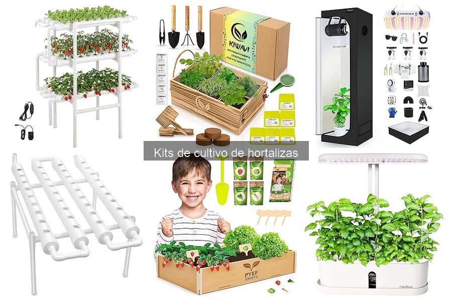 Cómo mantener tu kit de cultivo de hortalizas en casa