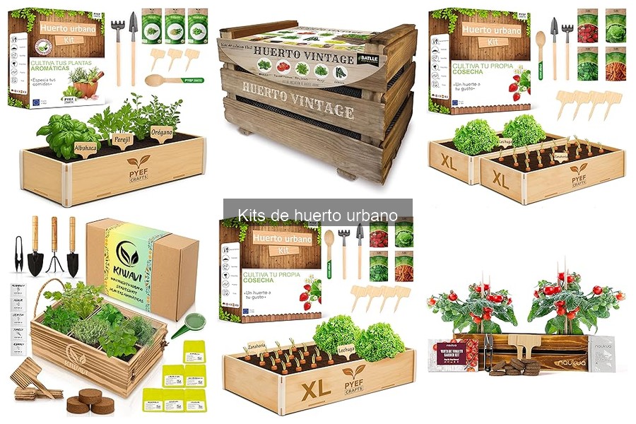 Cómo mantener tu kit de huerto urbano: consejos prácticos