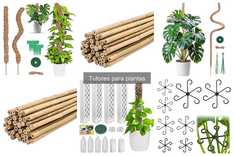 ** Cómo mantener tutores para plantas y prolongar su vida útil