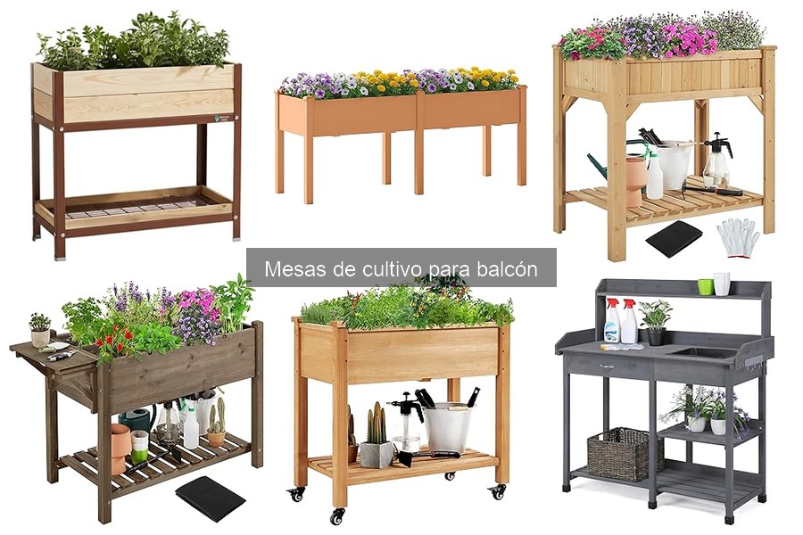 Cómo mantener una mesa de cultivo para balcón: Guía práctica