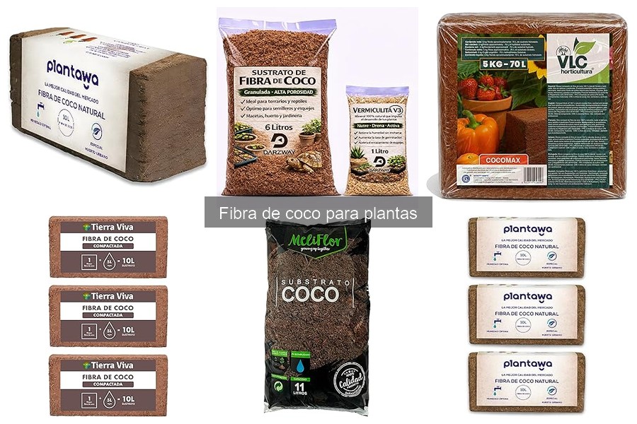 Cómo preparar fibra de coco para plantas de forma efectiva