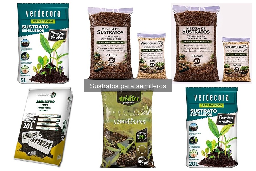 Cómo preparar sustrato para semilleros en casa