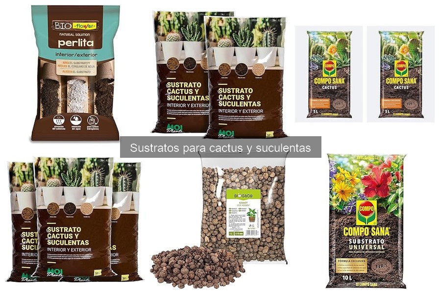 Cómo preparar un sustrato casero para cactus y suculentas