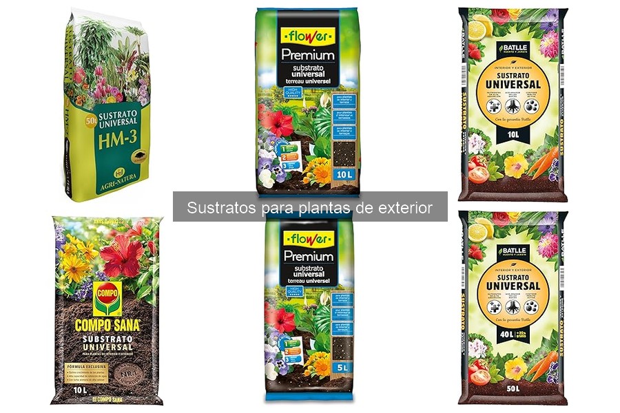 Cómo preparar un sustrato casero para plantas de exterior