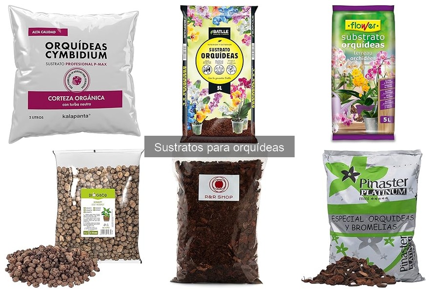 Cómo preparar un sustrato para orquídeas en casa