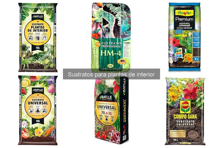 Cómo preparar un sustrato para plantas de interior
