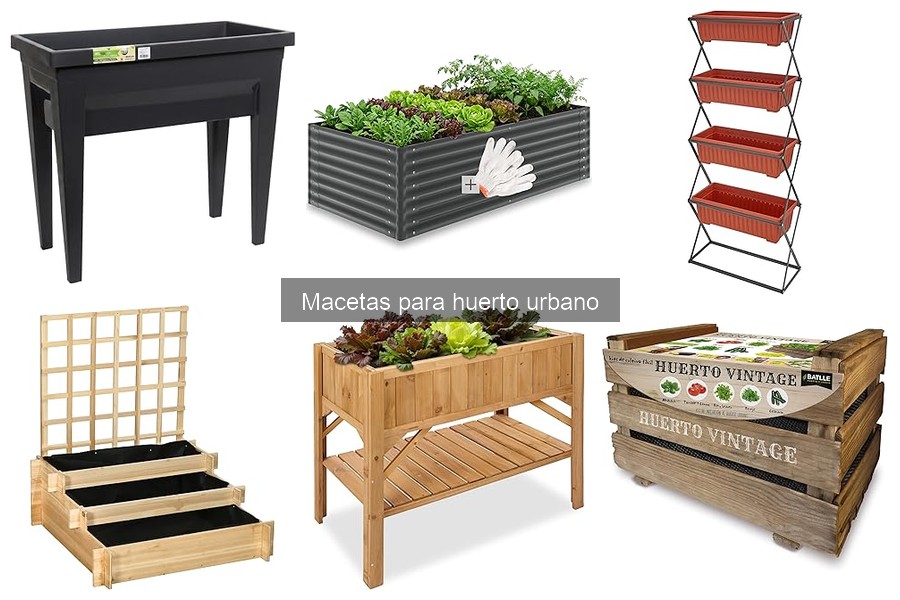 Cómo prevenir el encharcamiento en macetas: guía práctica