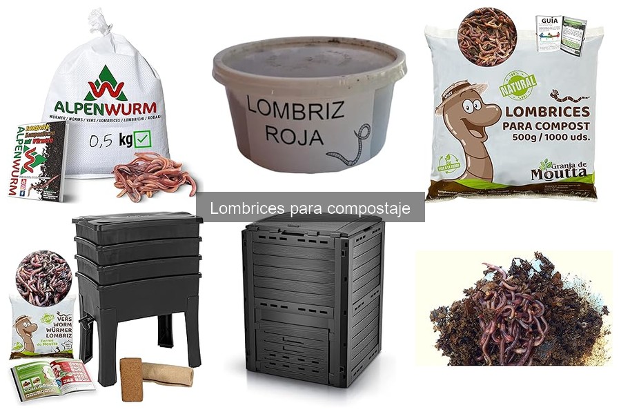 Cómo recolectar vermicompost eficientemente en casa