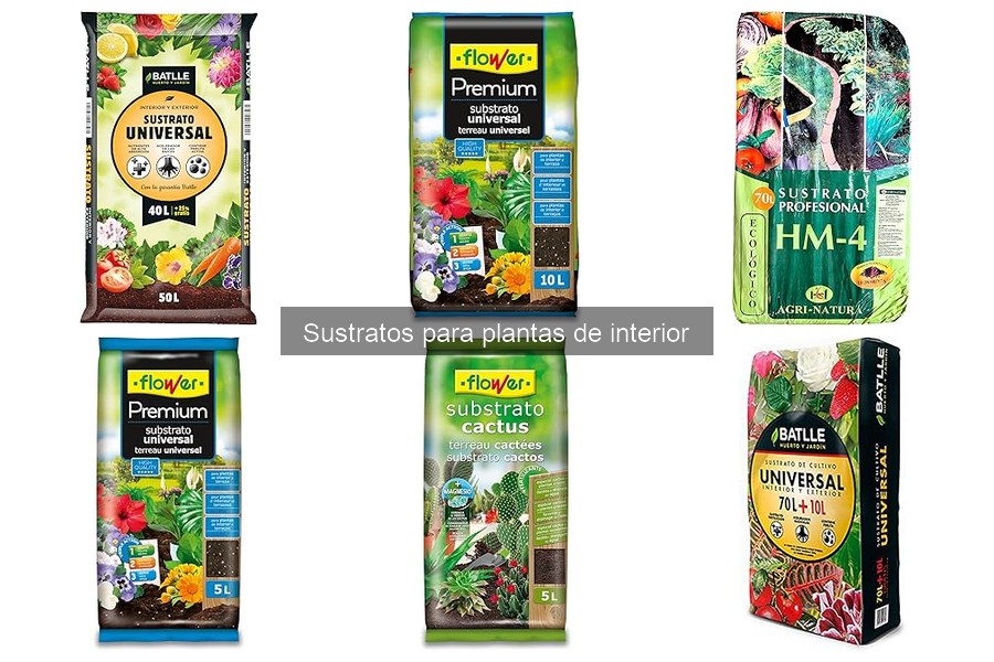 Cómo reutilizar sustratos de plantas de interior