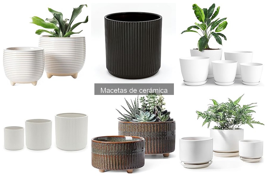 Cómo usar macetas de cerámica para decorar interiores
