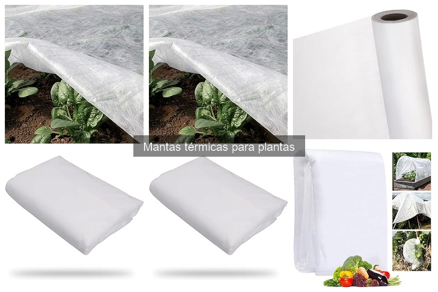 Cómo usar mantas térmicas para proteger tus plantas