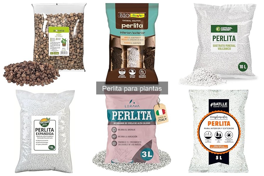 Cómo usar perlita en el sustrato para tus plantas