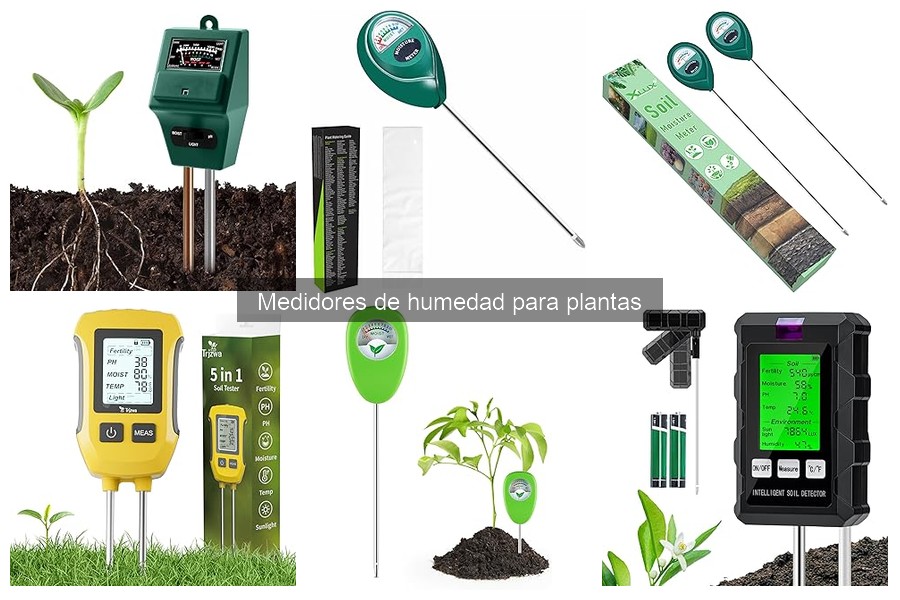 Cómo usar un medidor de humedad para plantas eficazmente
