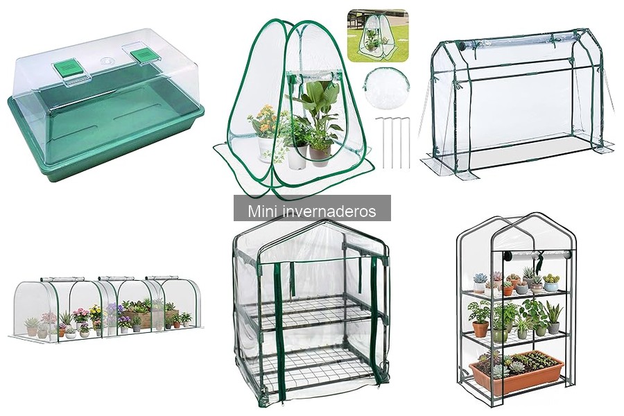 Cómo usar un mini invernadero para germinar semillas
