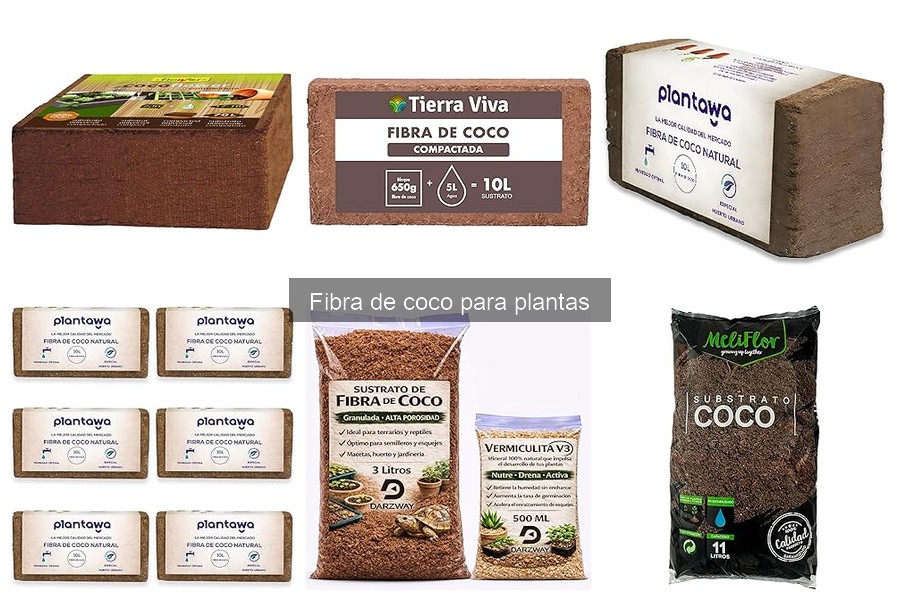 Cómo utilizar la fibra de coco en el cultivo de plantas