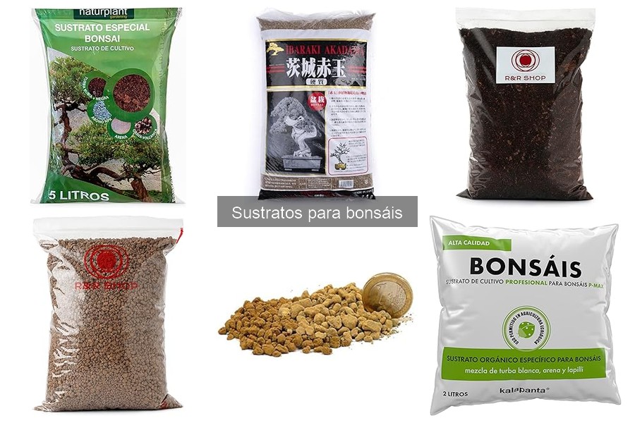 Cómo utilizar sustratos para bonsáis en el trasplante
