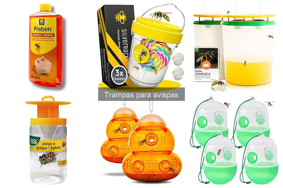 Cómo utilizar trampas para avispas: guía efectiva