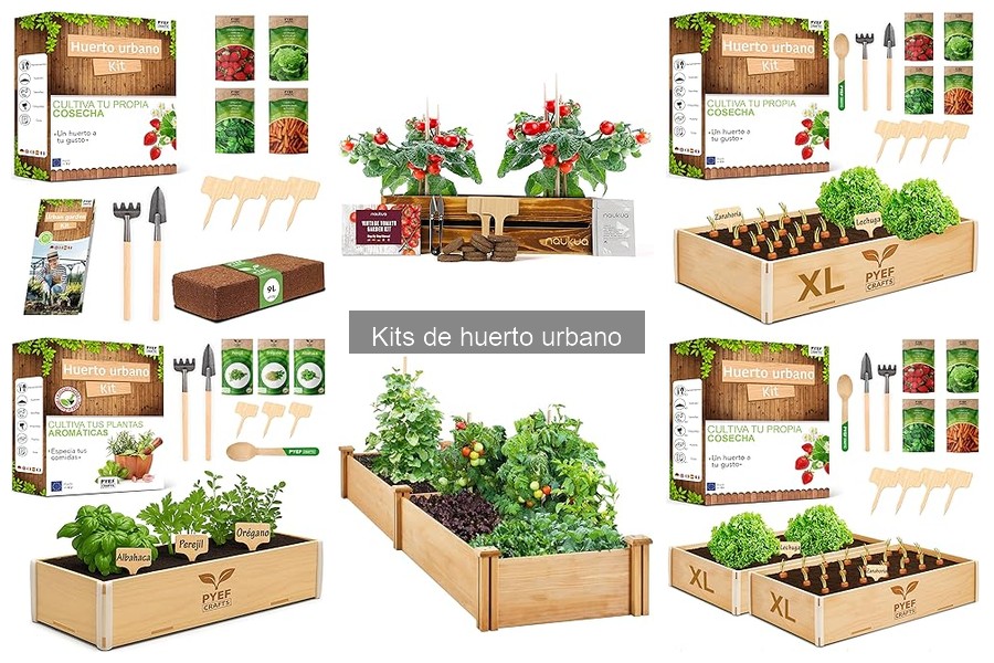 Cómo utilizar un kit de huerto urbano: guía práctica