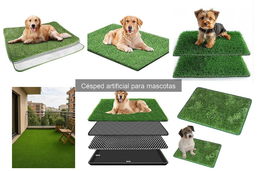 Comparativa: Césped Natural vs Artificial para Mascotas