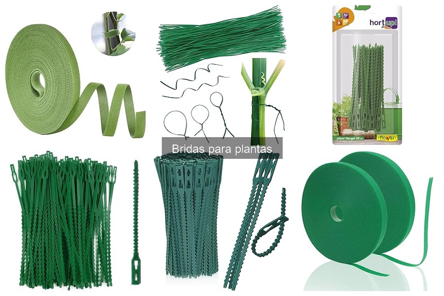 Comparativa de Bridas para Plantas: Mejores Marcas y Precios