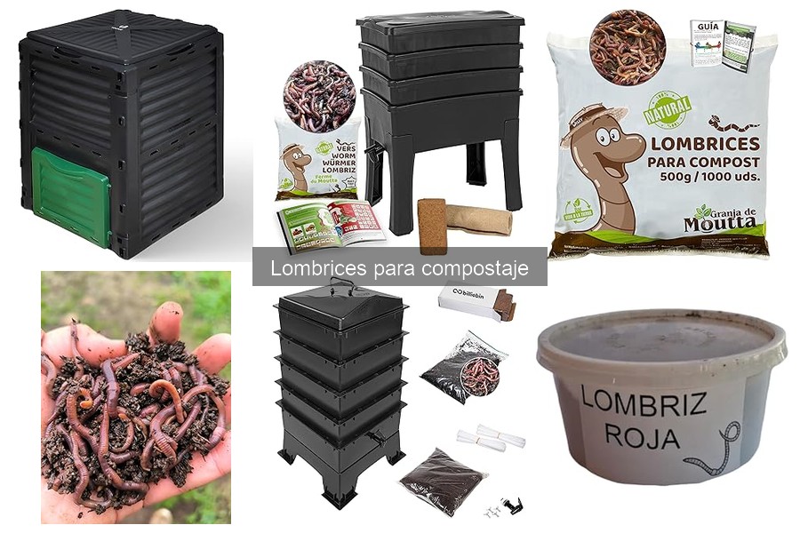 Comparativa de cajas de lombrices para compostaje en 2023