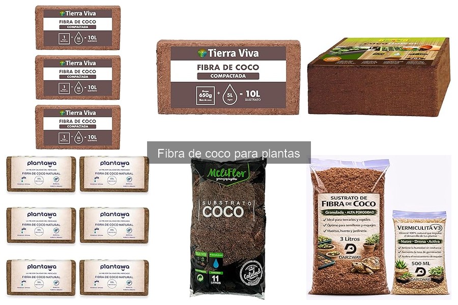 Comparativa de Fibra de Coco y Otros Sustratos para Plantas