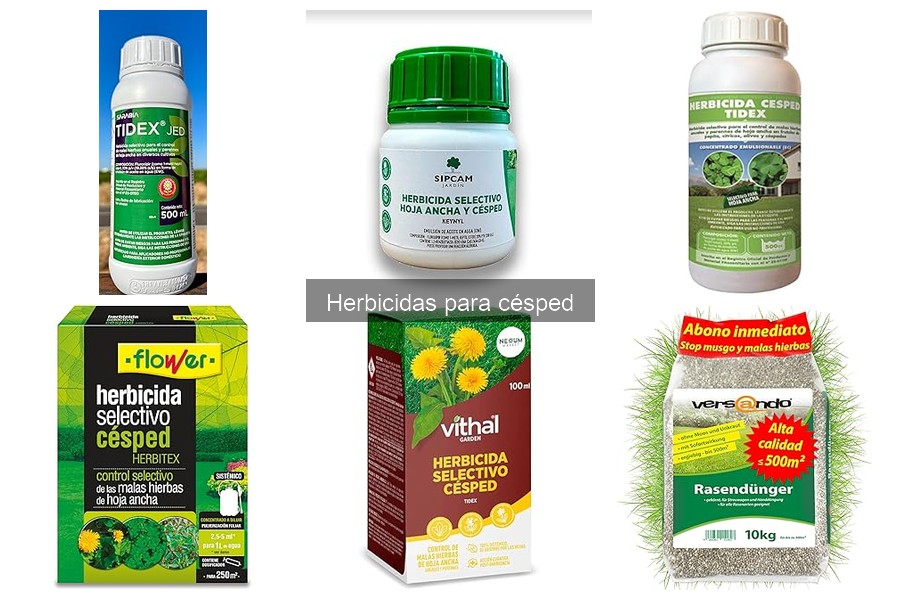 Comparativa de Herbicidas Selectivos y No Selectivos para Césped