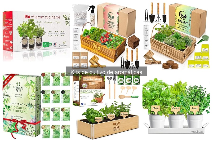 Comparativa de Kits de Cultivo de Aromáticas: Elige el Mejor